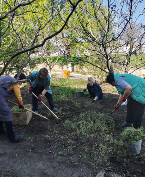 В Тельмановском округ продолжается еженедельная экологическая акция "Чистый четверг". В Тельмановском округ продолжается еженедельная экологическая акция "Чистый четверг".